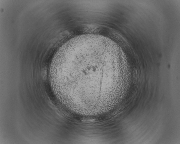 X0000087380602200705181244