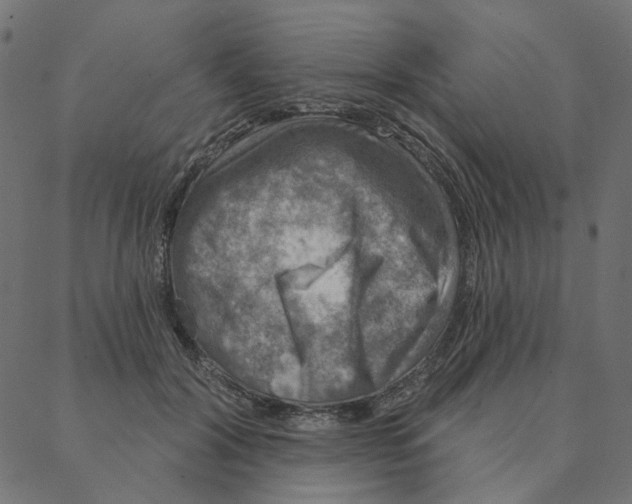 X0000087380604200705181244