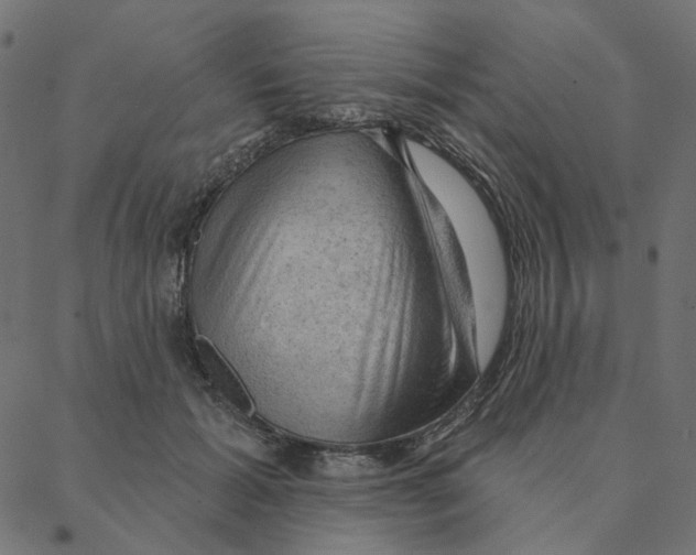 X0000087380605200705181244