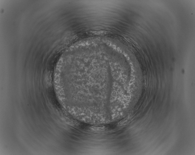 X0000087380606200705181244