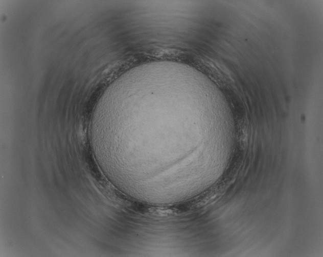 X0000087380607200705181244