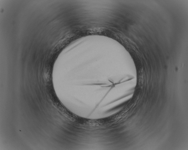 X0000087380608200705181244