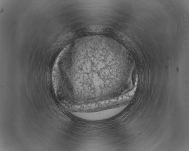 X0000087380609200705181244