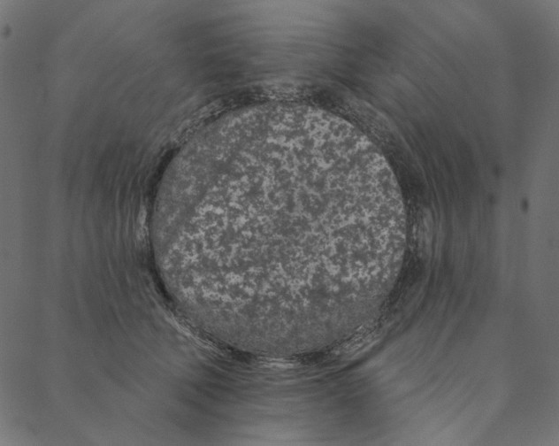 X0000087380610200705181244