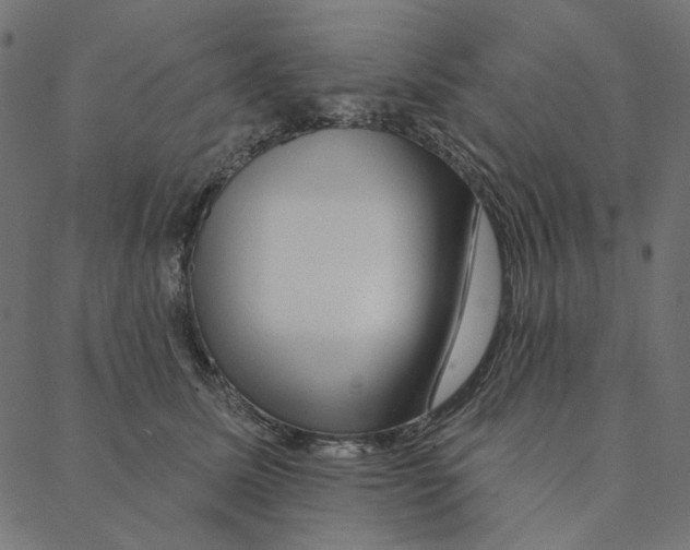 X0000087380611200705181244