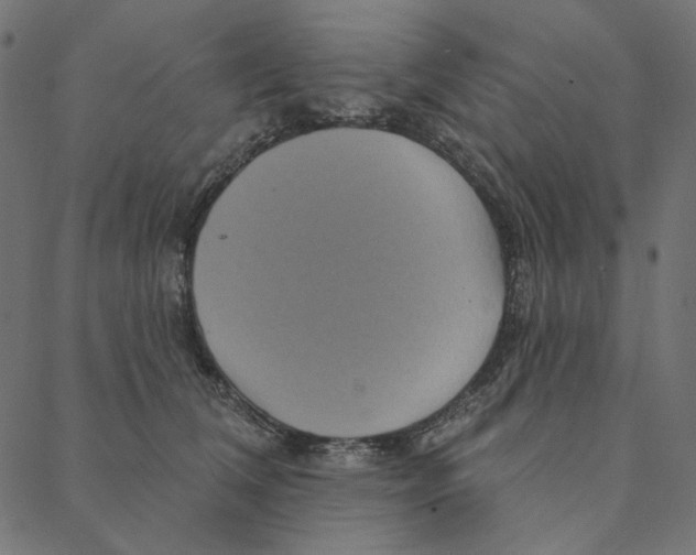 X0000087380612200705181244