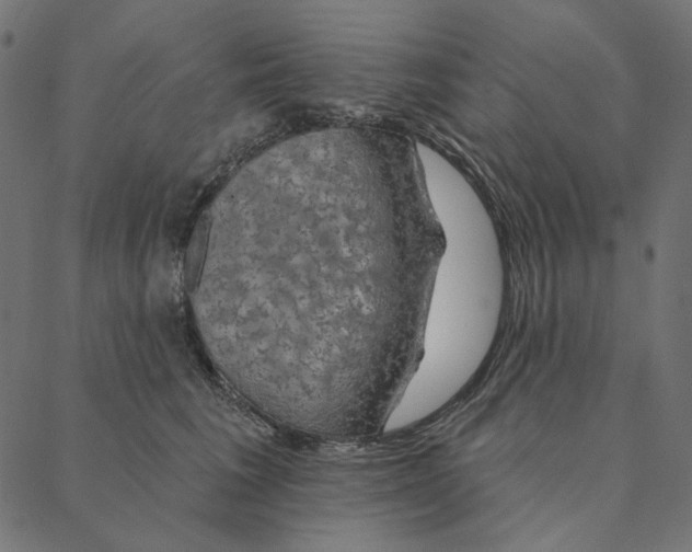 X0000087380613200705181244