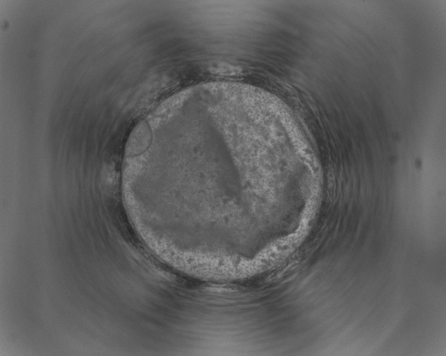 X0000087380614200705181244