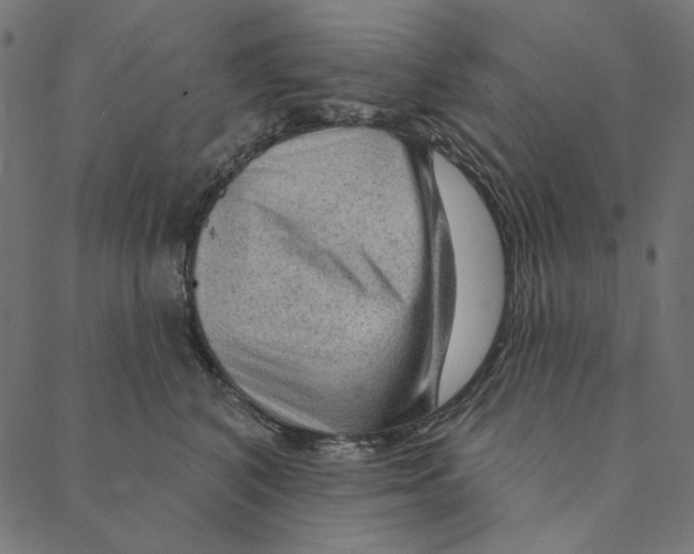 X0000087380616200705181244