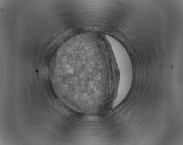 X0000087380617200705181244