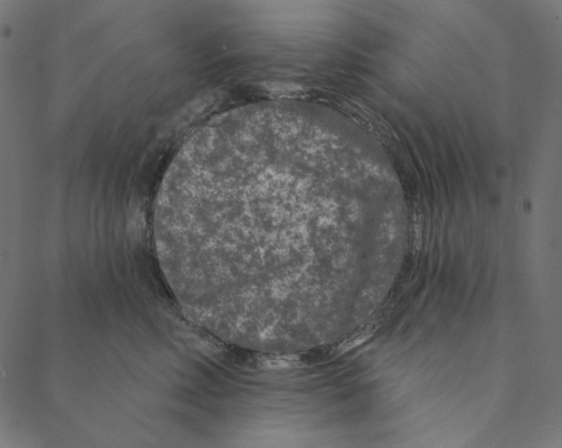 X0000087380618200705181244