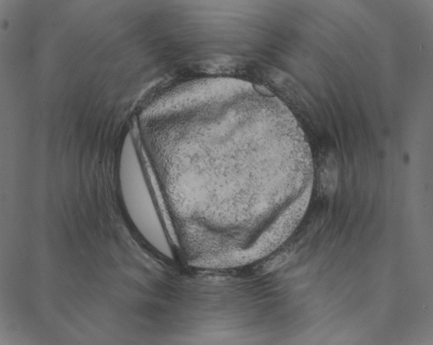 X0000087380620200705181244