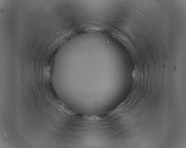 X0000087380621200705181244