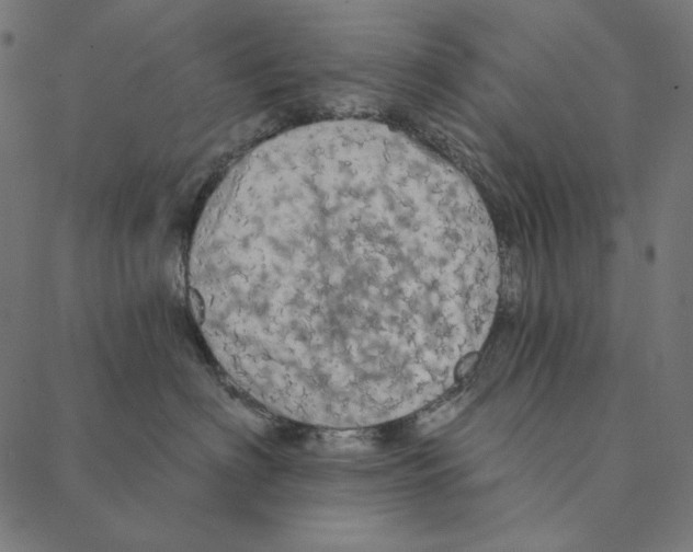 X0000087380622200705181244