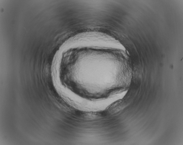 X0000087380623200705181244