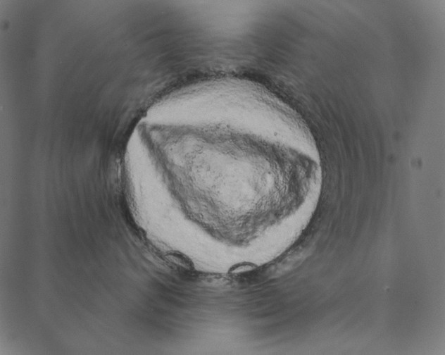 X0000087380624200705181244