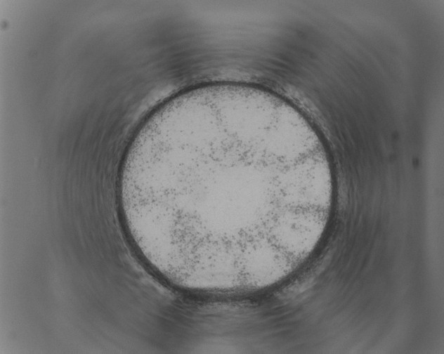 X0000087380625200705181243