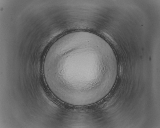 X0000087380627200705181243