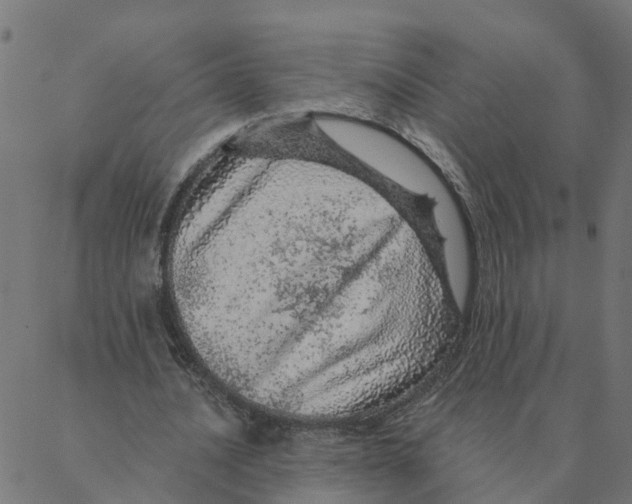 X0000087380628200705181243