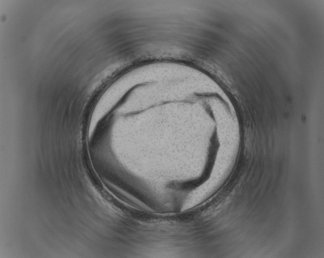 X0000087380629200705181243