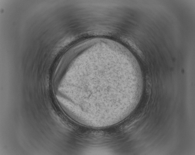 X0000087380631200705181243