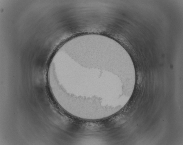 X0000087380632200705181243