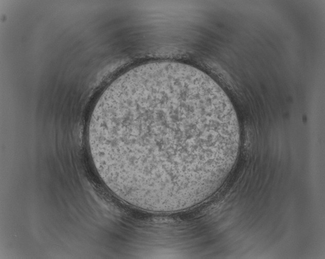 X0000087380636200705181243