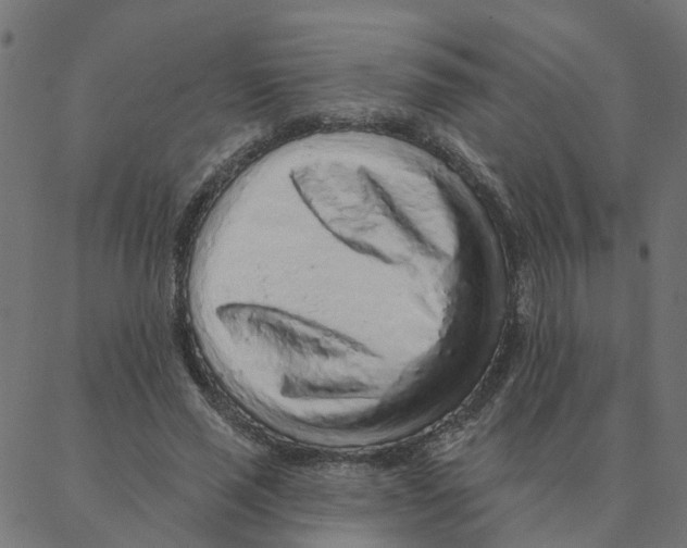 X0000087380637200705181243