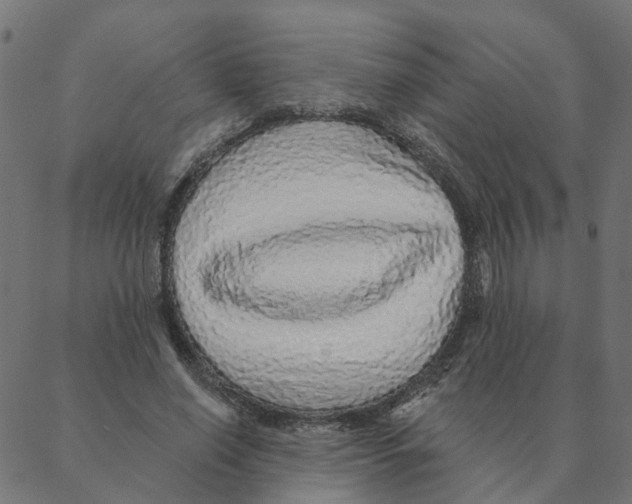 X0000087380638200705181243