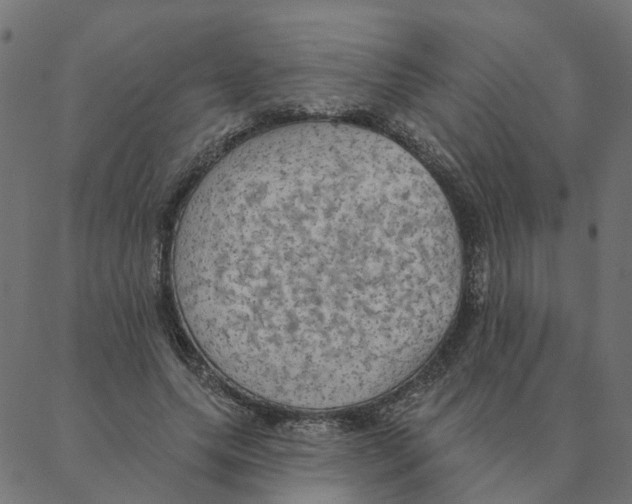 X0000087380639200705181243