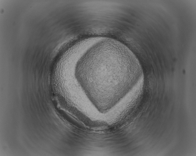 X0000087380640200705181243