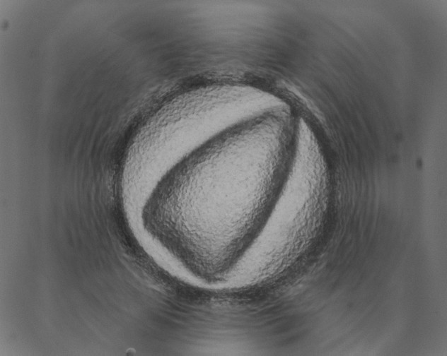 X0000087380641200705181243