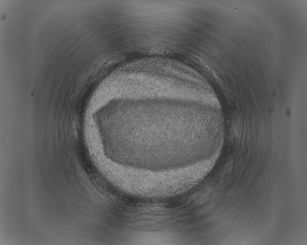 X0000087380643200705181243