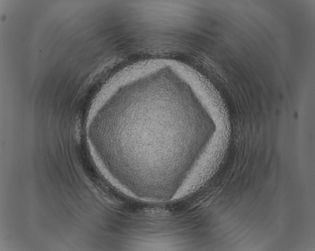 X0000087380644200705181243