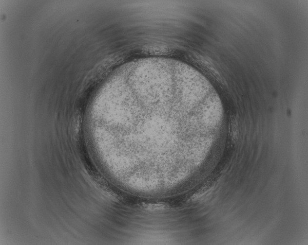 X0000087380645200705181243