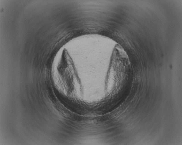 X0000087380647200705181243