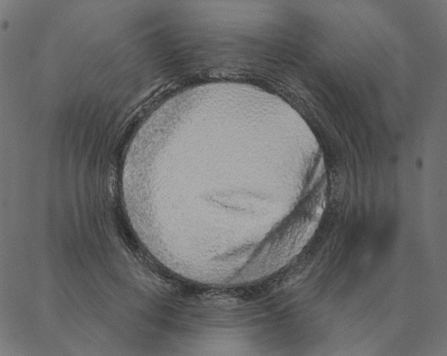 X0000087380648200705181243