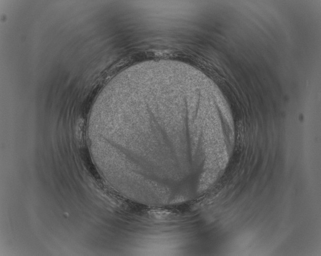 X0000087380650200705181243