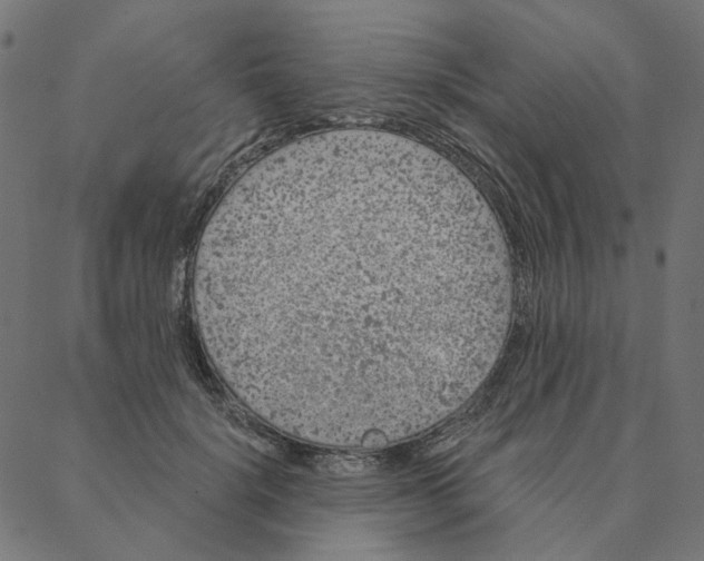 X0000087380652200705181243