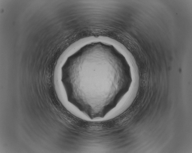 X0000087380653200705181243