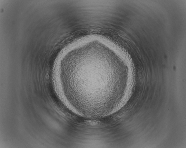 X0000087380654200705181243