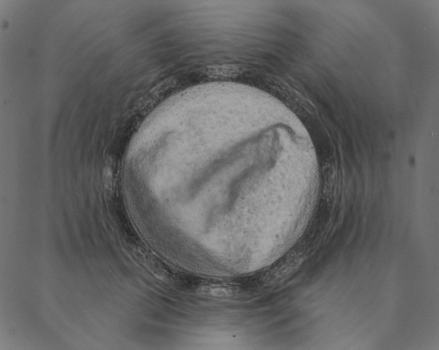 X0000087380655200705181243