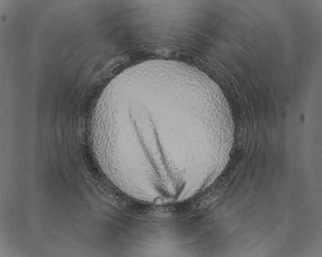 X0000087380656200705181243