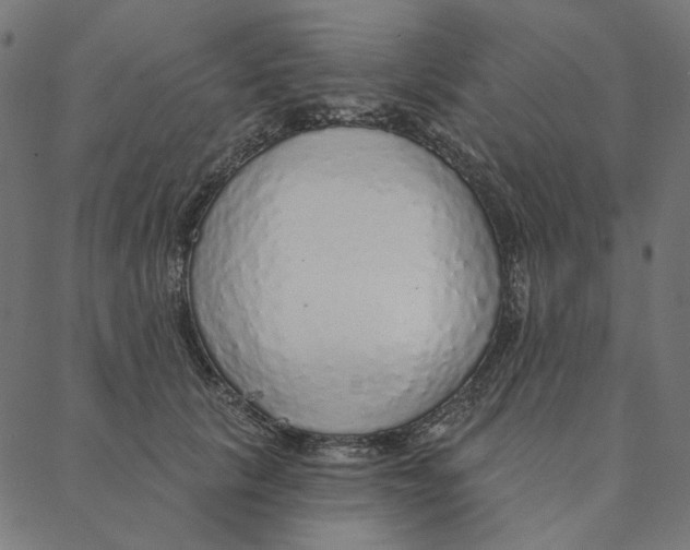 X0000087380657200705181243