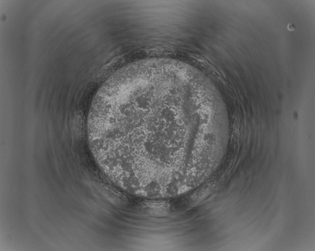 X0000087380659200705181243