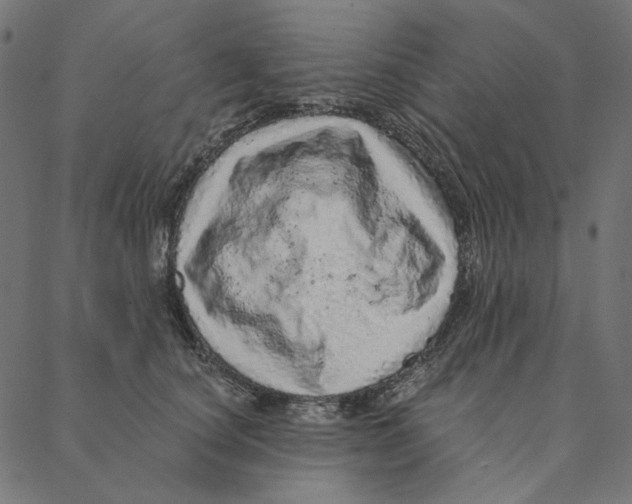 X0000087380660200705181243