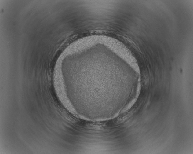 X0000087380661200705181243