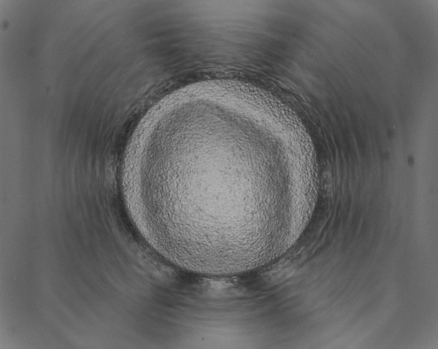 X0000087380662200705181243