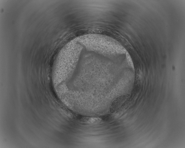 X0000087380663200705181243