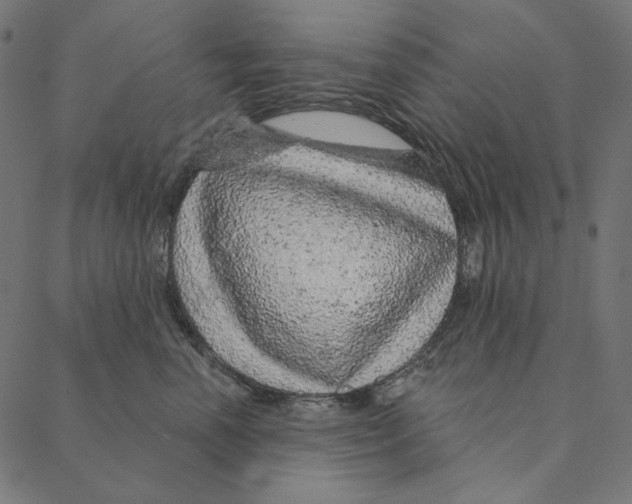 X0000087380666200705181243